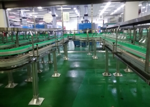 柔性鏈板輸送機(jī)
